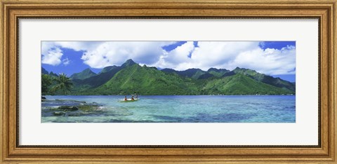 Framed Polynesian people rowing a yellow outrigger boat in the bay, Opunohu Bay, Moorea, Tahiti, French Polynesia Print