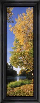 Framed River flowing through a forest, Dal River, Sweden Print