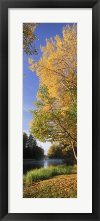 Framed River flowing through a forest, Dal River, Sweden Print