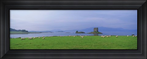 Framed Castle on an island, Glencoe, Loch Linnh, Stalker Castle, Scotland Print