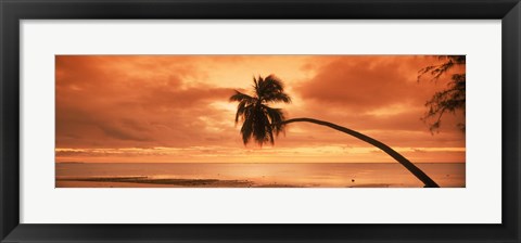 Framed Silhouette of an old palm tree on the beach at sunset, Aitutaki, Cook Islands Print