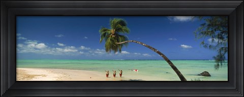 Framed Palm tree extended over the beach, Aitutaki, Cook Islands Print