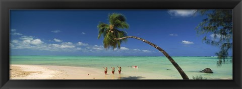 Framed Palm tree extended over the beach, Aitutaki, Cook Islands Print