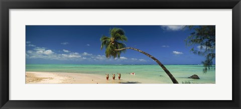 Framed Palm tree extended over the beach, Aitutaki, Cook Islands Print