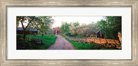 Framed Dirt road leading to farmhouses, Stensjoby, Smaland, Sweden Print