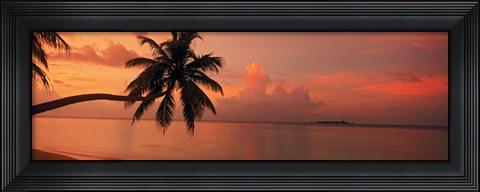 Framed Silhouette of palm tree on the beach at sunrise, Fihalhohi Island, Maldives Print