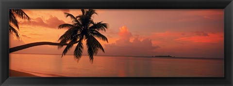 Framed Silhouette of palm tree on the beach at sunrise, Fihalhohi Island, Maldives Print