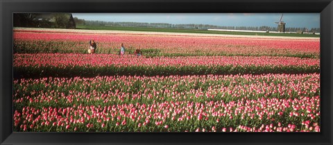 Framed Mother and daughters in field of red tulips, Alkmaar, Netherlands Print