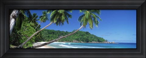 Framed Palm trees on the beach, Anse Severe, La Digue Island, Seychelles Print