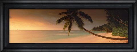 Framed Silhouette of a palm tree on the beach at sunset, Anse Severe, La Digue Island, Seychelles Print