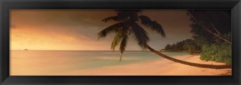 Framed Silhouette of a palm tree on the beach at sunset, Anse Severe, La Digue Island, Seychelles Print