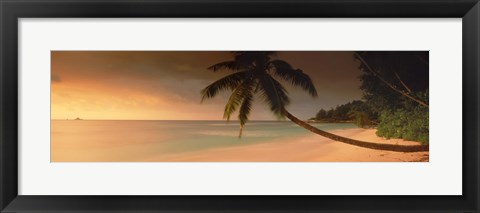 Framed Silhouette of a palm tree on the beach at sunset, Anse Severe, La Digue Island, Seychelles Print