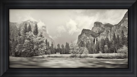 Framed River flowing through a forest, Merced River, Yosemite Valley, Yosemite National Park, California, USA Print