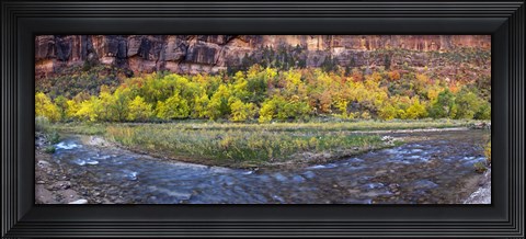 Framed Virgin River at Big Bend, Zion National Park, Springdale, Utah, USA Print