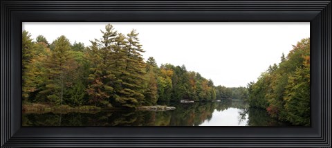 Framed Reflection of trees in the Musquash River, Muskoka, Ontario, Canada Print