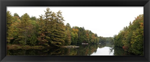 Framed Reflection of trees in the Musquash River, Muskoka, Ontario, Canada Print