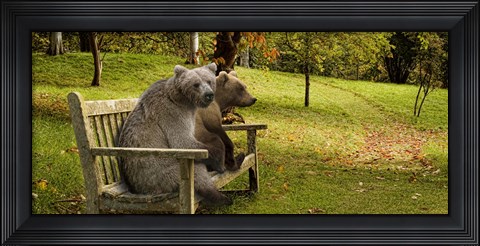 Framed Bears sitting on a bench Print