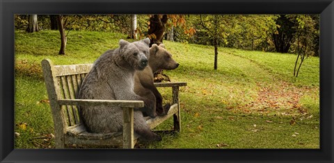 Framed Bears sitting on a bench Print