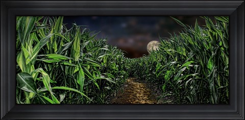 Framed Dark corn field Print