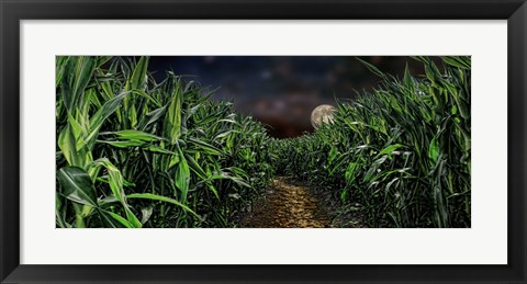 Framed Dark corn field Print
