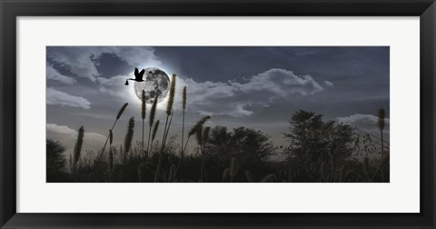 Framed Stork flying with baby in beak over moon Print