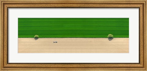 Framed Aerial view of a tractor in field Print
