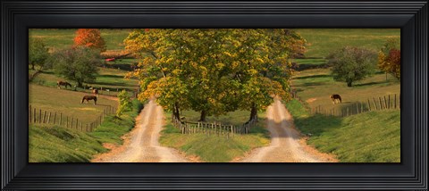 Framed Two dirt roads passing through farms in autumn Print