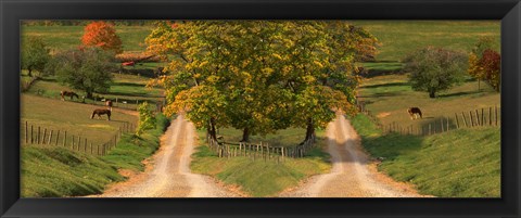 Framed Two dirt roads passing through farms in autumn Print