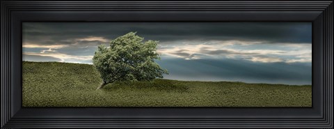 Framed Tree swaying in storm Print