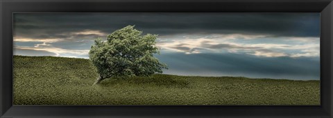 Framed Tree swaying in storm Print