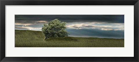 Framed Tree swaying in storm Print