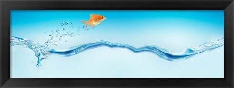 Framed Goldfish jumping out of water Print