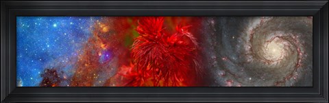 Framed Hubble galaxy with red maple foliage Print