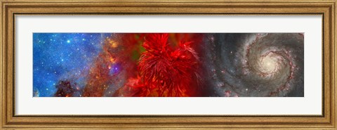 Framed Hubble galaxy with red maple foliage Print