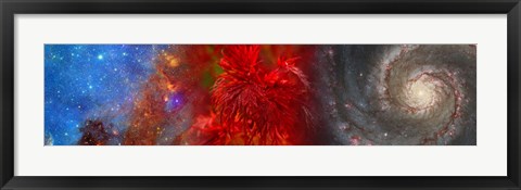 Framed Hubble galaxy with red maple foliage Print