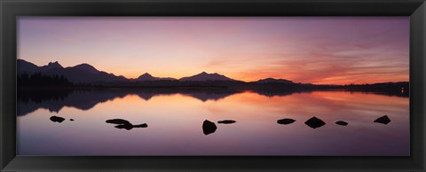 Framed Lake Hopfensee at sunset, Ostallgau, Bavaria, Germany Print