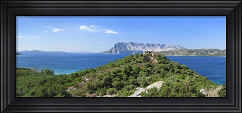 Framed Trees on a hill, Capo Coda Cavallo, Baronia, Sardinia, Italy Print