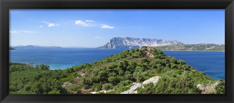 Framed Trees on a hill, Capo Coda Cavallo, Baronia, Sardinia, Italy Print