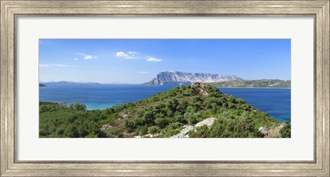Framed Trees on a hill, Capo Coda Cavallo, Baronia, Sardinia, Italy Print