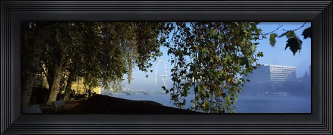 Framed Ferris wheel looking viewed through trees, Millennium Wheel, Thames River, South Bank, London, England Print