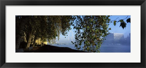 Framed Ferris wheel looking viewed through trees, Millennium Wheel, Thames River, South Bank, London, England Print