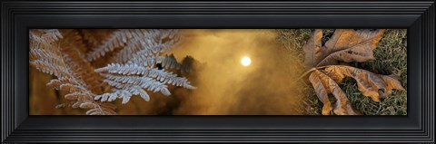 Framed Cold feet leaves Print