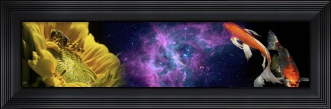 Framed Sunflower and Koi Carp in space Print