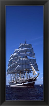 Framed Tall ships race in the ocean, Baie De Douarnenez, Finistere, Brittany, France Print