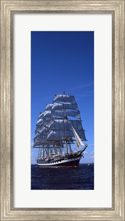 Framed Tall ships race in the ocean, Baie De Douarnenez, Finistere, Brittany, France Print