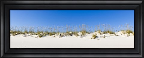 Framed Sand dunes on Gulf Of Mexico, Orange Beach, Baldwin County, Alabama, USA Print
