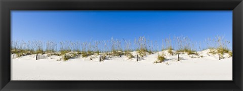 Framed Sand dunes on Gulf Of Mexico, Orange Beach, Baldwin County, Alabama, USA Print