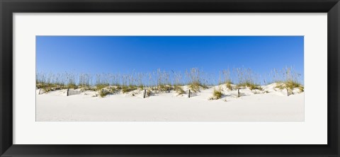 Framed Sand dunes on Gulf Of Mexico, Orange Beach, Baldwin County, Alabama, USA Print