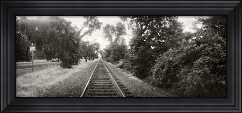 Framed Railroad track, Napa Valley, California, USA Print