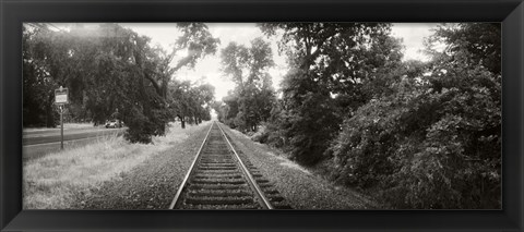 Framed Railroad track, Napa Valley, California, USA Print